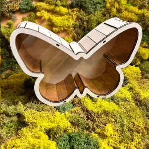 Pudełko motyl z białego HDF i przezroczystej plexi