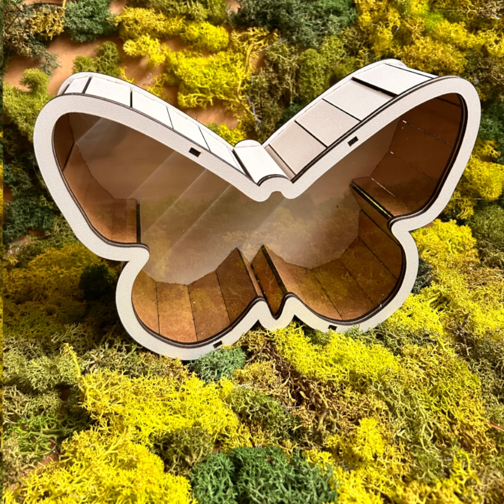 pudelko-motyl2 Pudełko motyl z białego HDF i przezroczystej plexi